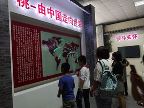 桃香引巧思，非遺潤(rùn)童心——奉賢錢橋?qū)W校暑期親子體驗(yàn)活動(dòng)側(cè)記